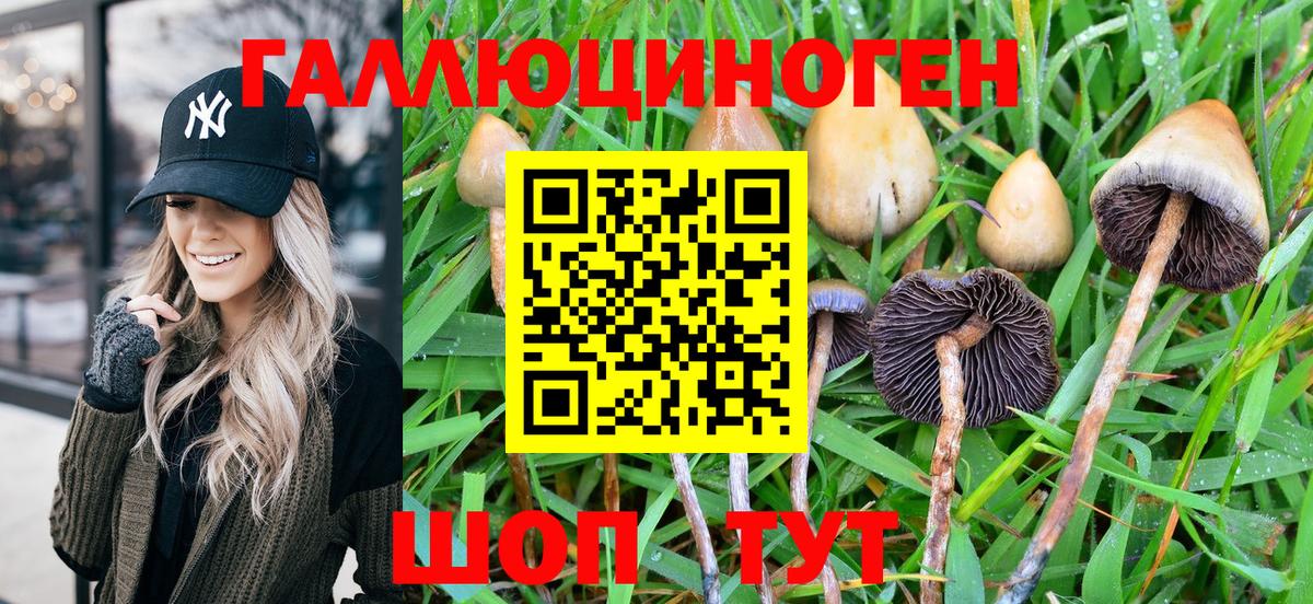 Уссурийск  Псилоцибиновые грибы Magic Shrooms  Вход с VPN 